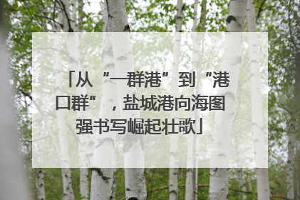 从“一群港”到“港口群”，盐城港向海图强书写崛起壮歌