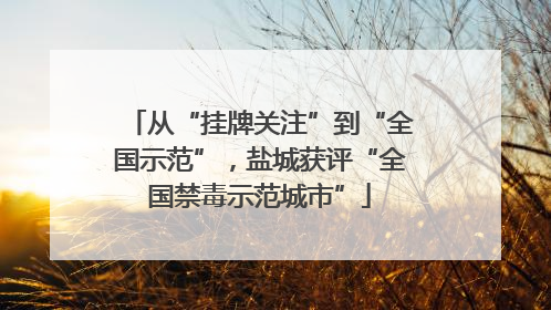 从“挂牌关注”到“全国示范”，盐城获评“全国禁毒示范城市”
