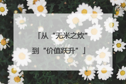 从“无米之炊”到“价值跃升”