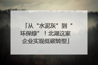 从“水泥灰”到“环保绿”！北湖这家企业实现低碳转型