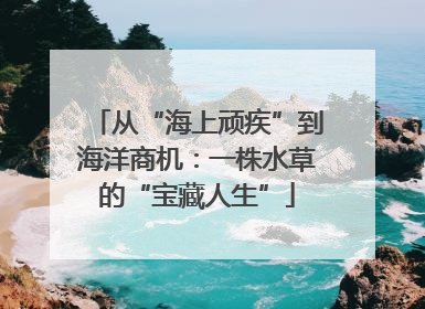 从“海上顽疾”到海洋商机：一株水草的“宝藏人生”