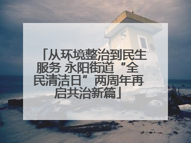 从环境整治到民生服务 永阳街道“全民清洁日”两周年再启共治新篇