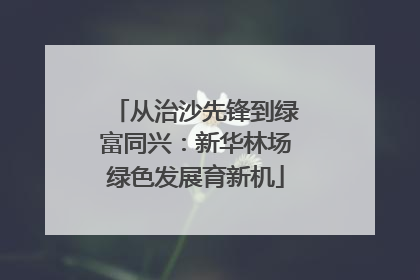 从治沙先锋到绿富同兴:新华林场绿色发展育新机