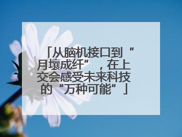 从脑机接口到“月壤成纤”，在上交会感受未来科技的“万种可能”