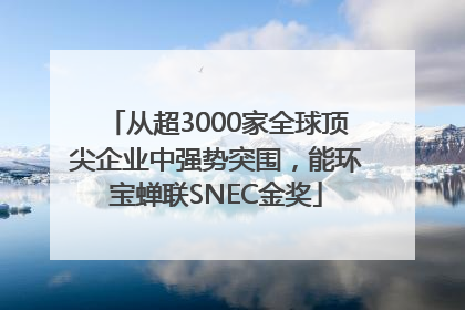 从超3000家全球顶尖企业中强势突围，能环宝蝉联SNEC金奖