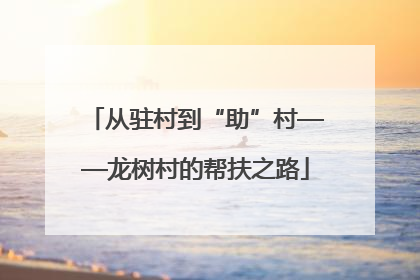 从驻村到“助”村——龙树村的帮扶之路
