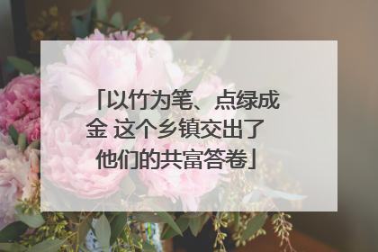 以竹为笔、点绿成金 这个乡镇交出了他们的共富答卷