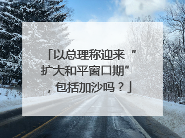 以总理称迎来“扩大和平窗口期”，包括加沙吗？
