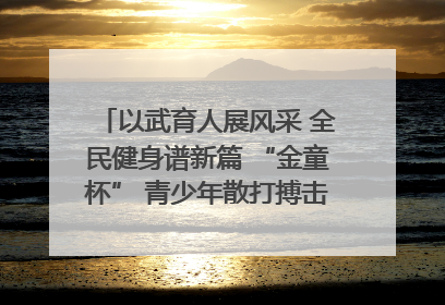 以武育人展风采 全民健身谱新篇 “金童杯” 青少年散打搏击邀请赛圆满落幕