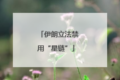 伊朗立法禁用“星链”