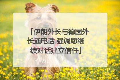 伊朗外长与德国外长通电话 强调愿继续对话建立信任