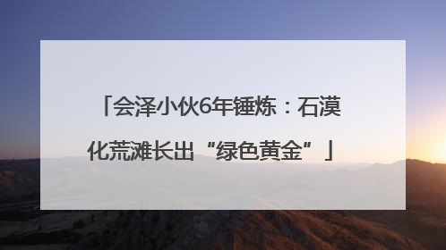 会泽小伙6年锤炼：石漠化荒滩长出“绿色黄金”