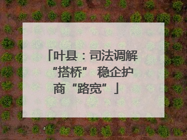 叶县：司法调解“搭桥” 稳企护商“路宽”