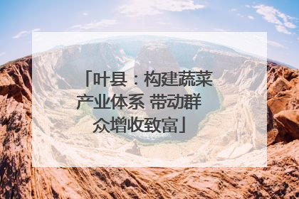叶县：构建蔬菜产业体系 带动群众增收致富