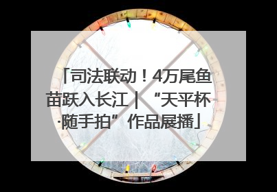 司法联动！4万尾鱼苗跃入长江｜“天平杯·随手拍”作品展播