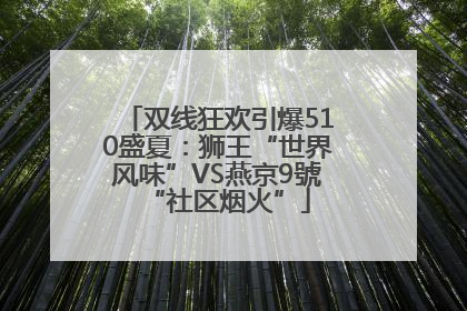 双线狂欢引爆510盛夏：狮王“世界风味”VS燕京9號“社区烟火”