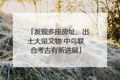 发现多座房址、出土大量文物 中乌联合考古有新进展