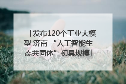 发布120个工业大模型 济南 “人工智能生态共同体”初具规模