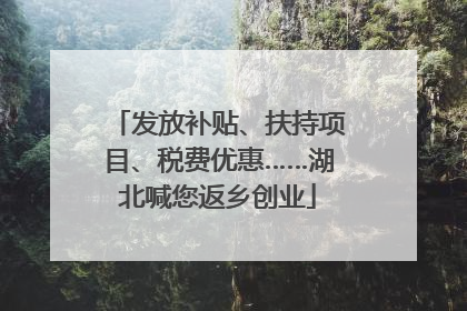 发放补贴、扶持项目、税费优惠……湖北喊您返乡创业
