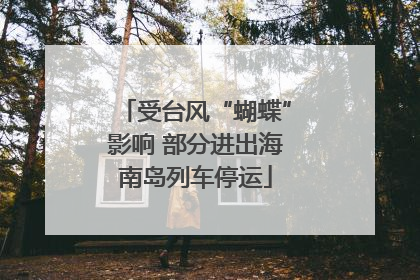 受台风“蝴蝶”影响 部分进出海南岛列车停运