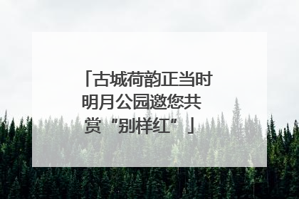 古城荷韵正当时 明月公园邀您共赏“别样红”