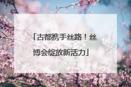 古都携手丝路！丝博会绽放新活力