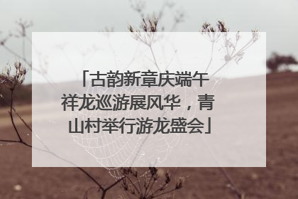 古韵新章庆端午 祥龙巡游展风华，青山村举行游龙盛会