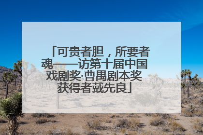 可贵者胆，所要者魂——访第十届中国戏剧奖·曹禺剧本奖获得者戴先良