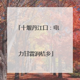 十堰丹江口：电力甘霖润桔乡