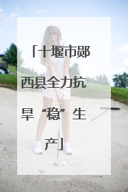 十堰市郧西县全力抗旱“稳”生产