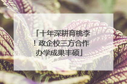 十年深耕育桃李！政企校三方合作办学成果丰硕