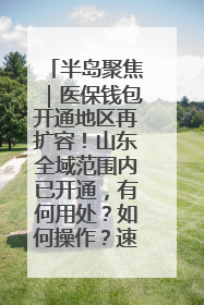 半岛聚焦｜医保钱包开通地区再扩容！山东全域范围内已开通，有何用处？如何操作？速戳→