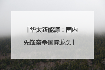 华太新能源：国内先锋奋争国际龙头