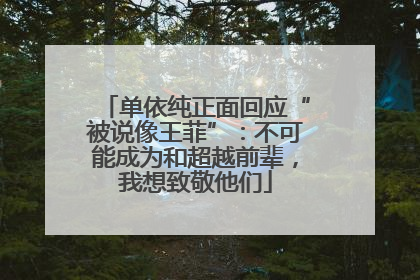 单依纯正面回应“被说像王菲”：不可能成为和超越前辈，我想致敬他们