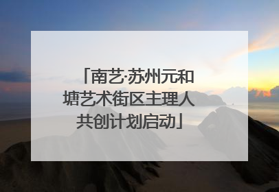 南艺·苏州元和塘艺术街区主理人共创计划启动