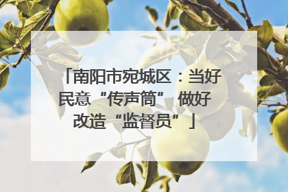 南阳市宛城区：当好民意“传声筒” 做好改造“监督员”