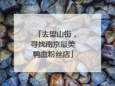 去望山街，寻找南京最美鸭血粉丝店