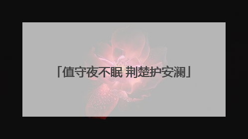 值守夜不眠 荆楚护安澜
