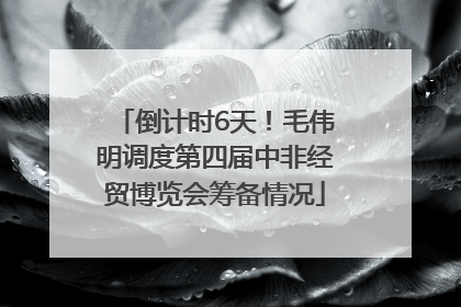 倒计时6天！毛伟明调度第四届中非经贸博览会筹备情况