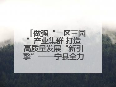 做强“一区三园”产业集群 打造高质量发展“新引擎”——宁县全力推动工业经济提质增效