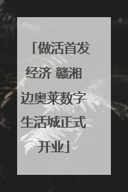 做活首发经济 赣湘边奥莱数字生活城正式开业