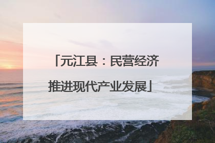 元江县：民营经济推进现代产业发展