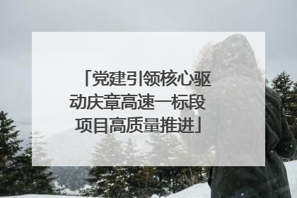 党建引领核心驱动庆章高速一标段项目高质量推进