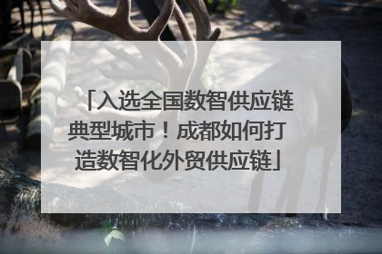 入选全国数智供应链典型城市！成都如何打造数智化外贸供应链