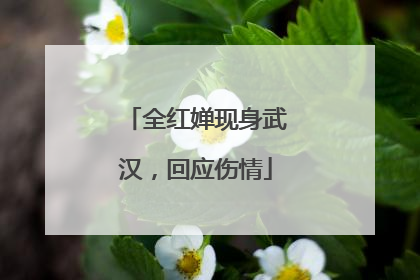 全红婵现身武汉，回应伤情