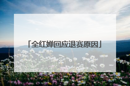 全红婵回应退赛原因