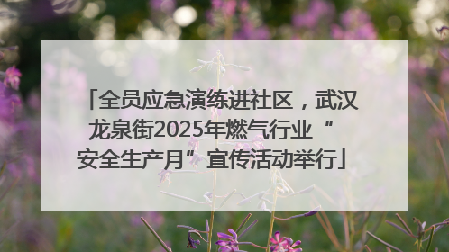 全员应急演练进社区，武汉龙泉街2025年燃气行业“安全生产月”宣传活动举行