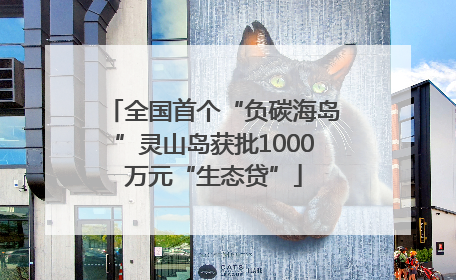 全国首个“负碳海岛”灵山岛获批1000万元“生态贷”