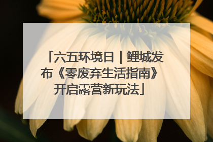 六五环境日｜鲤城发布《零废弃生活指南》开启露营新玩法