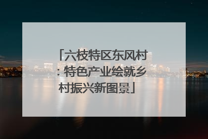六枝特区东风村：特色产业绘就乡村振兴新图景
